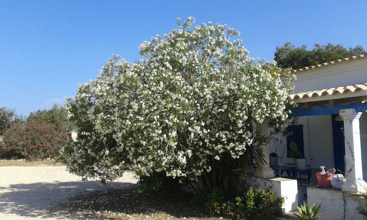 Can Gallet 1 San Francisco Javier Exterior photo